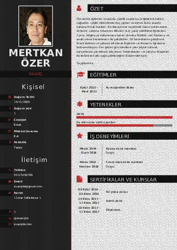 Dalgıç CV Örnekleri cv indir